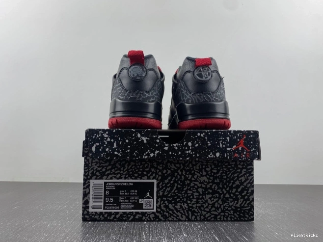 Low Jordan Bred FQ1579-006 Spizike 0716
